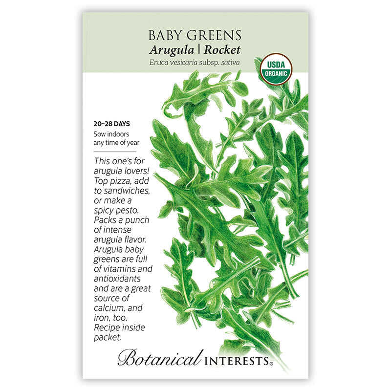 arugula plant seeds Arugula Baby Greens Seeds Organic, Heirloom
