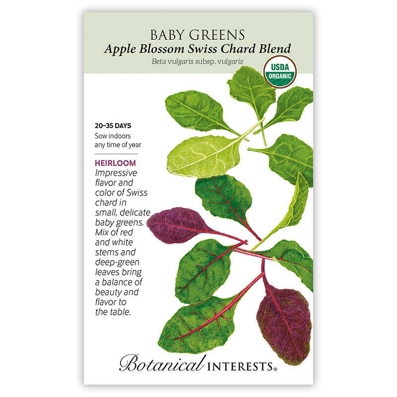 plant swiss chard seeds Apple Blossom Swiss Chard Blend Baby Greens Seeds – Epic Gardening