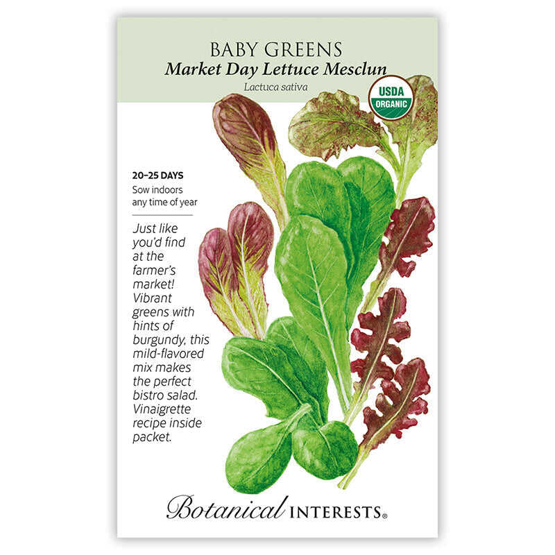plant lettuce seeds Market Day Lettuce Mesclun Baby Greens Seeds – Epic Gardening