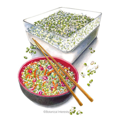 Mung Bean Sprouts Seeds