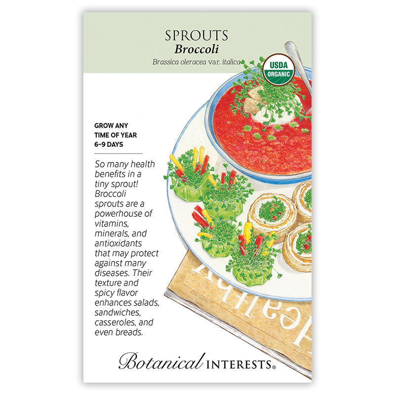 Broccoli Sprouts Seeds Product Image