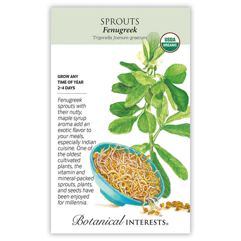 fenugreek seeds for garden Fenugreek Sprouts Seeds