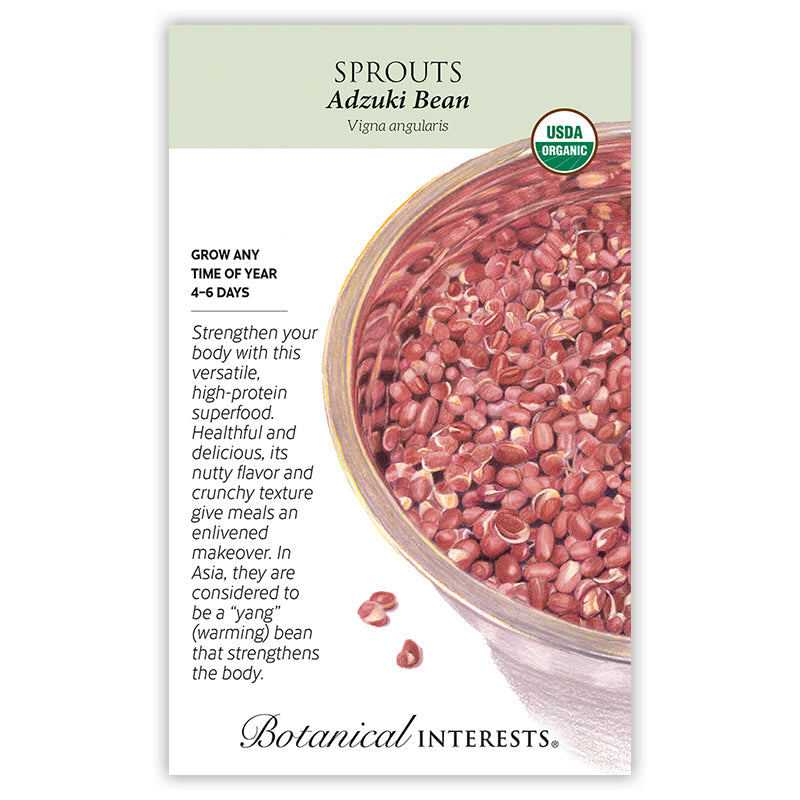 Adzuki Bean Sprouts Seeds Product Image