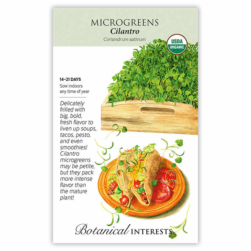 Cilantro Microgreens Seeds