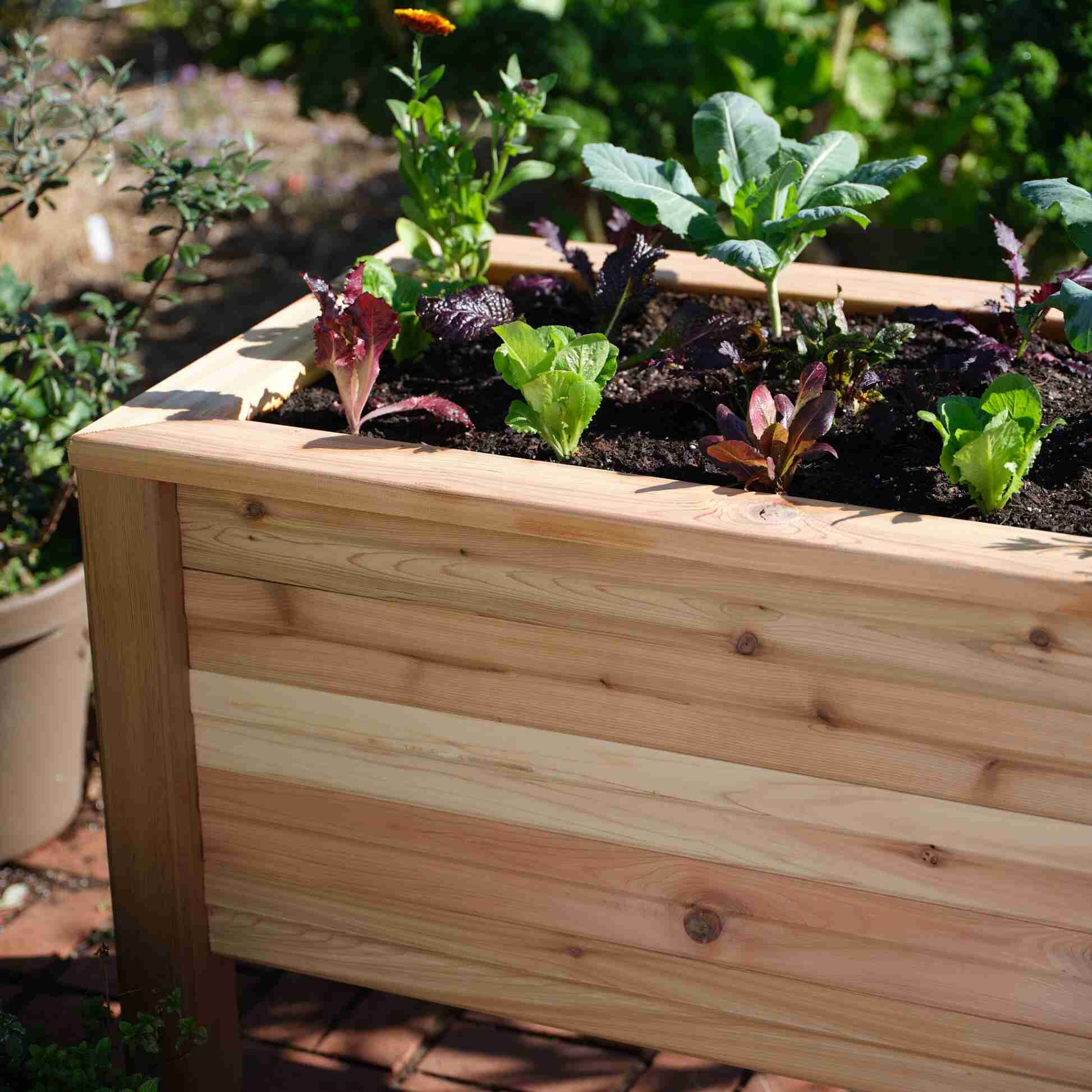 Cedar Wood Raised Garden Bed Kits – Epic Gardening