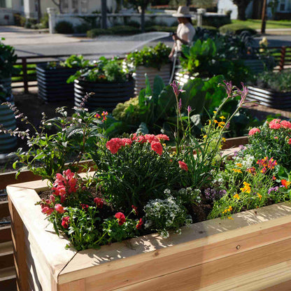 Small Cedar Elevated Planter 25.5" x 47" x 31"