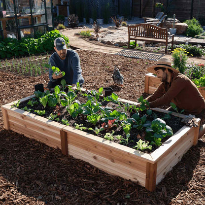 Large Cedar Raised Bed 47" x 91" x 15"