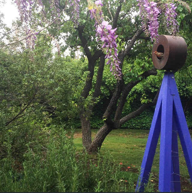 Bird Cafe with Trellis