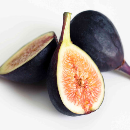 Black Mission Fig