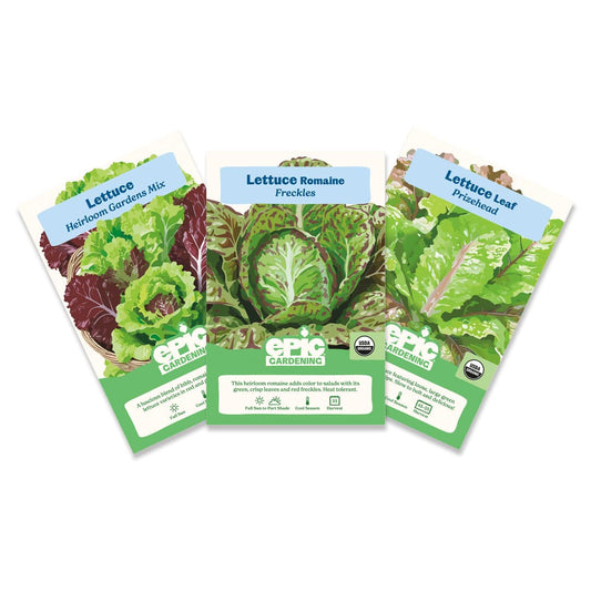 Lettuce Bundle