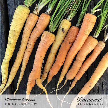 Rainbow Carrot Seeds