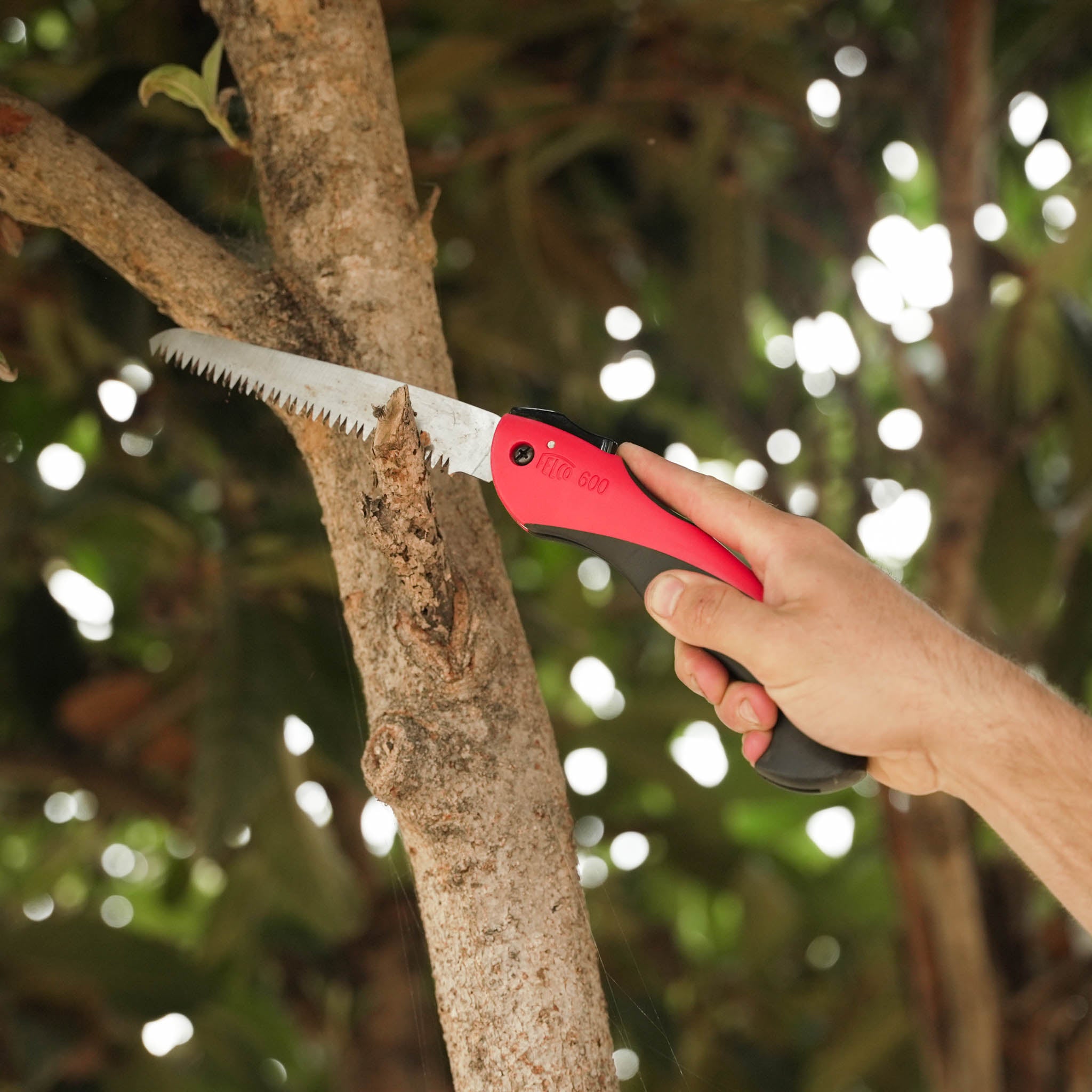 Felco folding on sale pruning saw