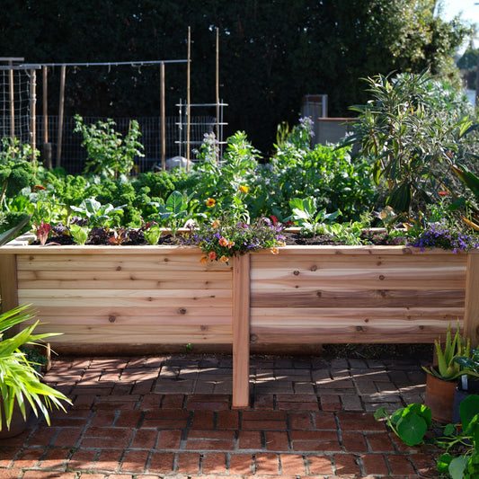 Large Cedar Elevated Planter 25.5" x 91" x 31"