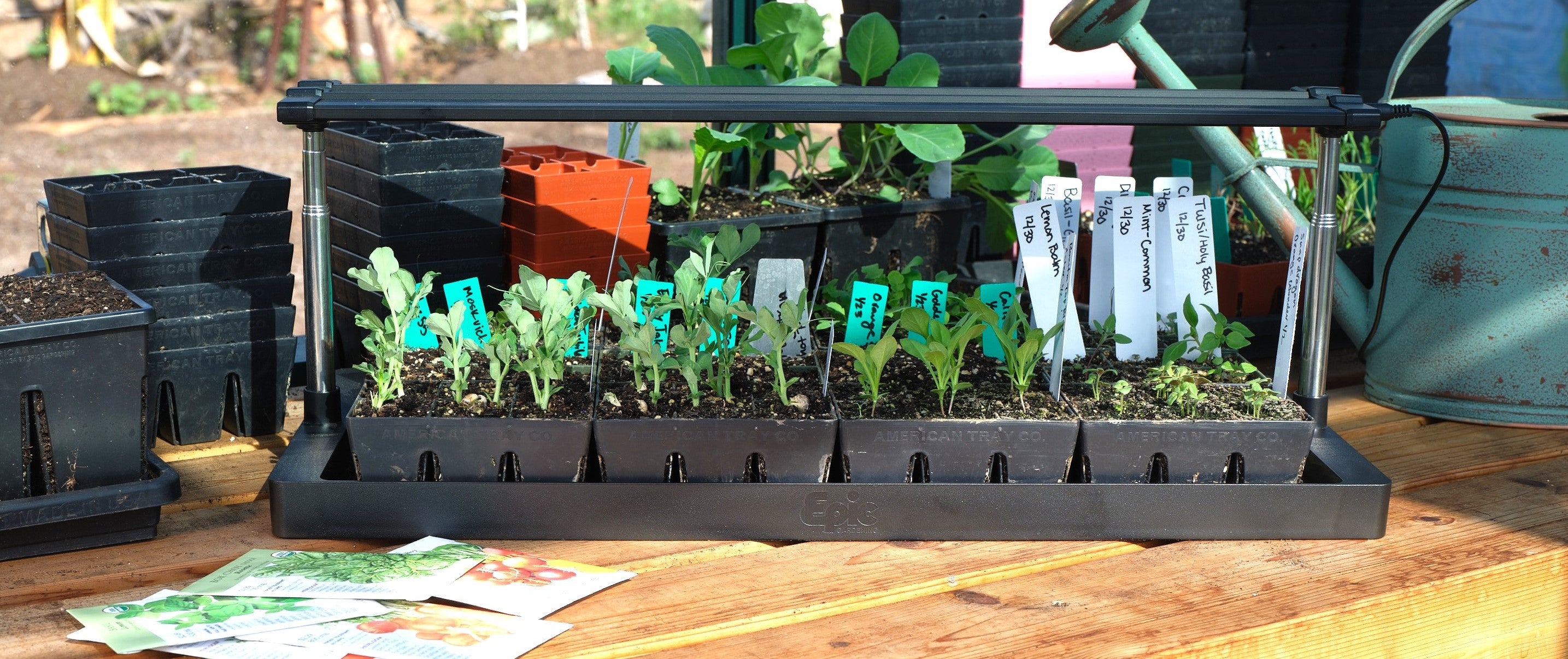 Epic 4Cell Seed Starting Trays Epic Gardening