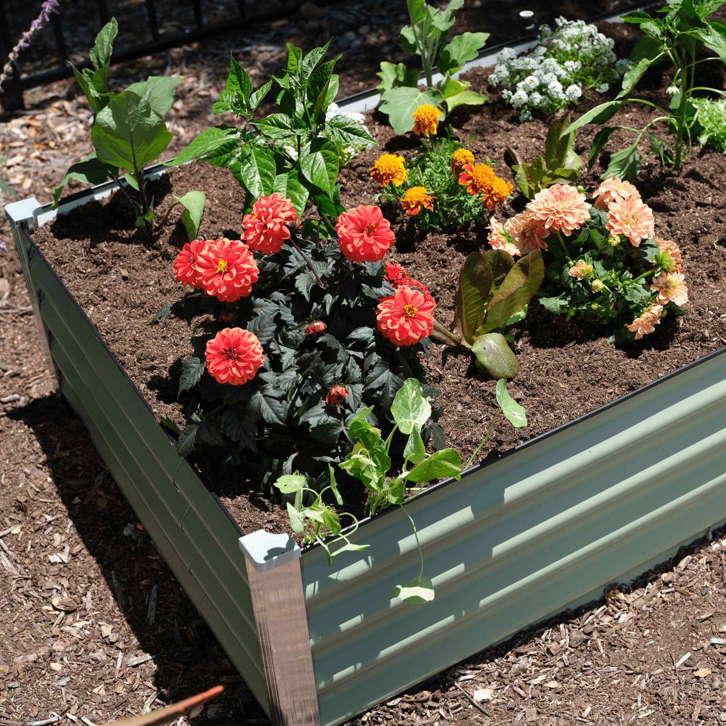 15" Tall EasyAssemble Modular Garden Bed