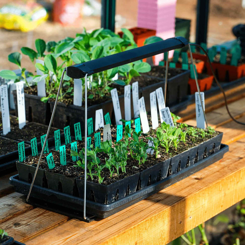 lights for starting plants indoors Epic Grow Light