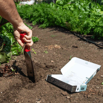 Soil Testing Kit