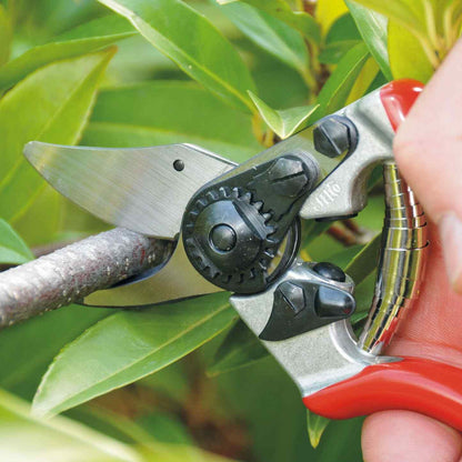 Felco 6 Ergonomic Hand Pruner