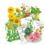 My First Garden Seed Bundle