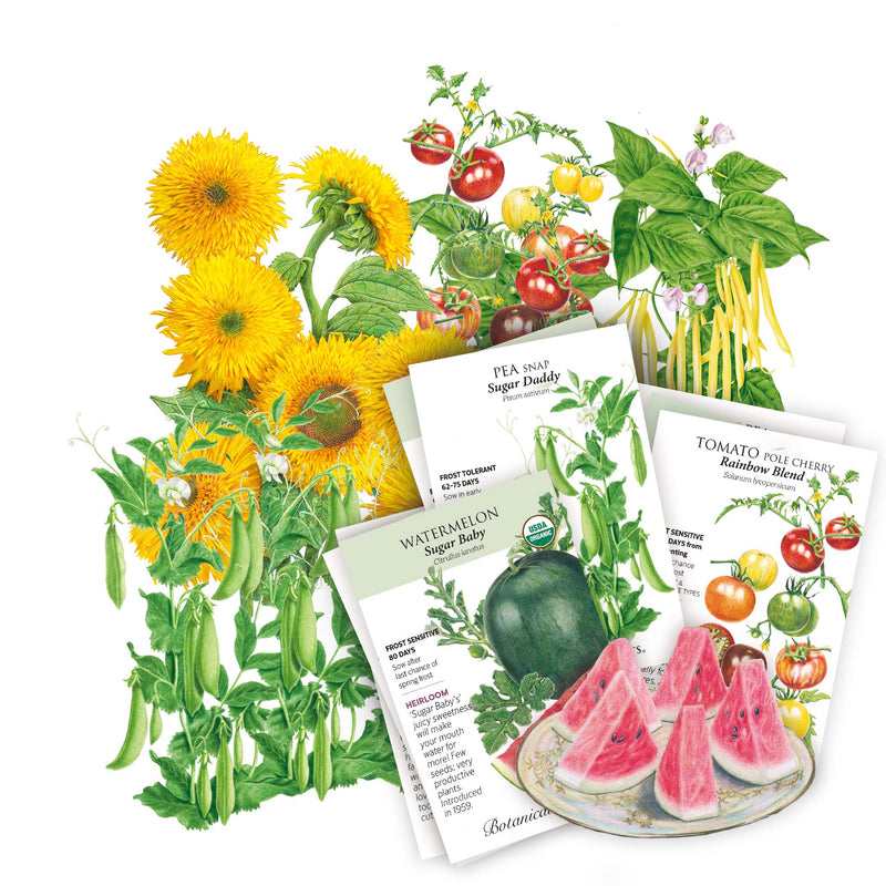 My First Garden Seed Bundle