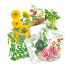 My First Garden Seed Bundle