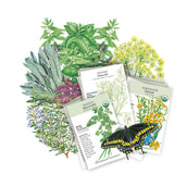 Chef’s Herb Garden Seed Bundle