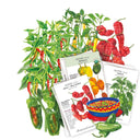 Heatwave Seed Bundle