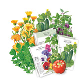 The Container Collection Seed Bundle