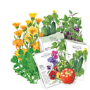 The Container Collection Seed Bundle