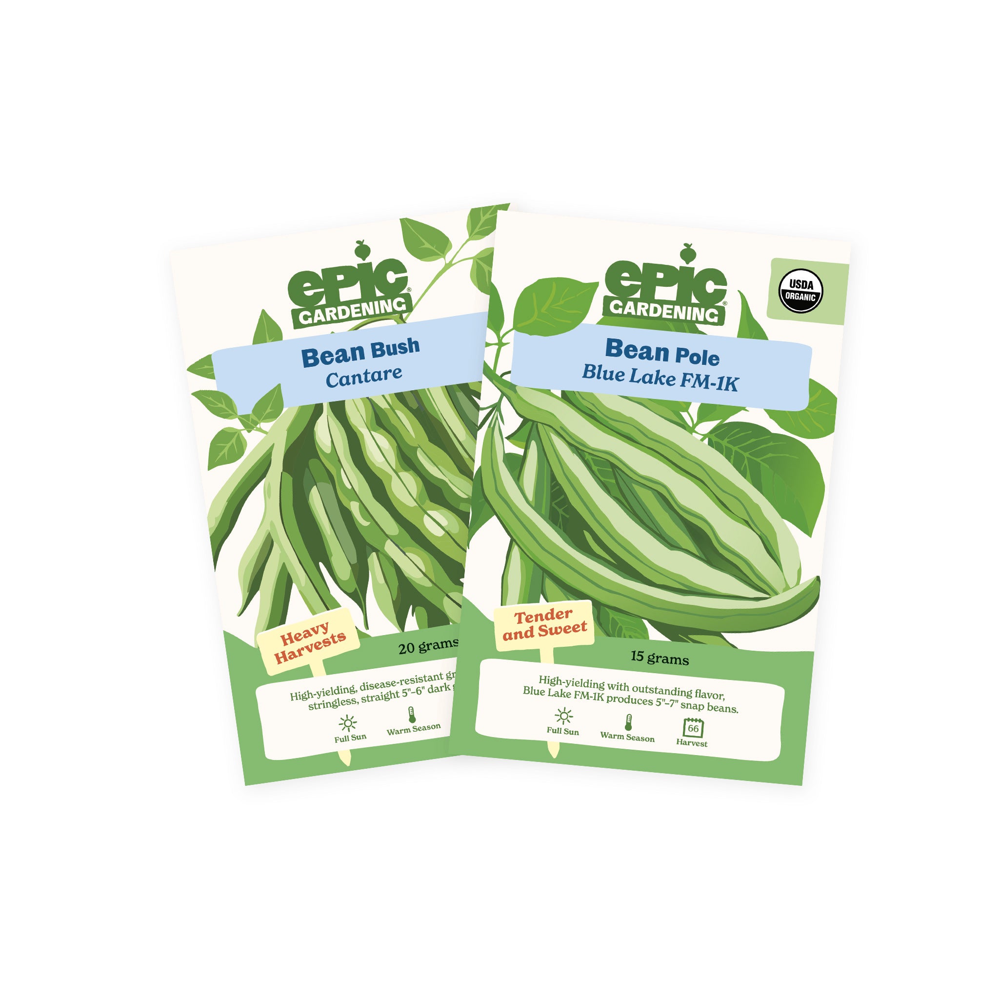 Bean 2-Pack – Epic Gardening