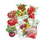 2027 New Varieties Seed Bundle