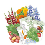 Intermountain Seed Bundle