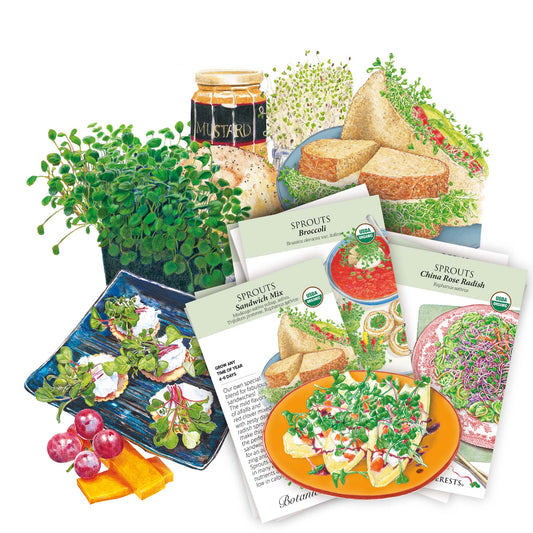 Microgreens & Sprouts Seed Bundle