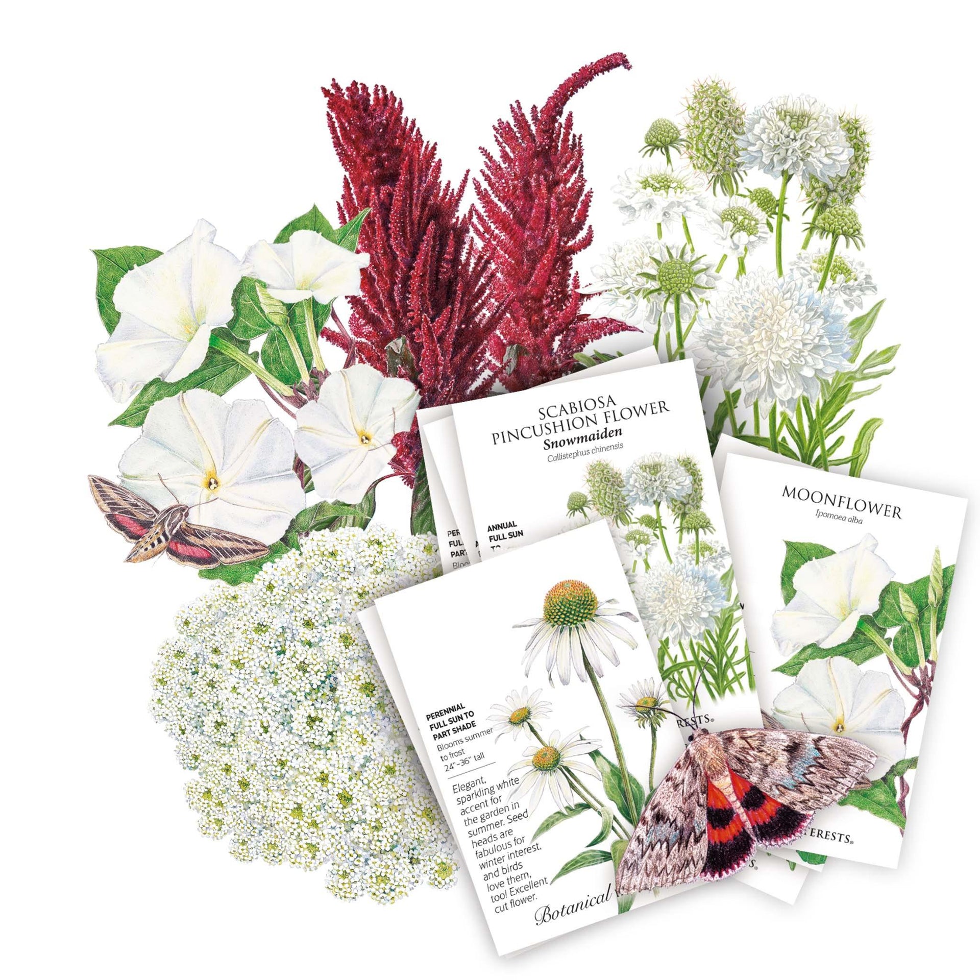 The Moon Garden Seed Bundle – Epic Gardening