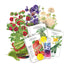 2026 New Varieties Seed Bundle
