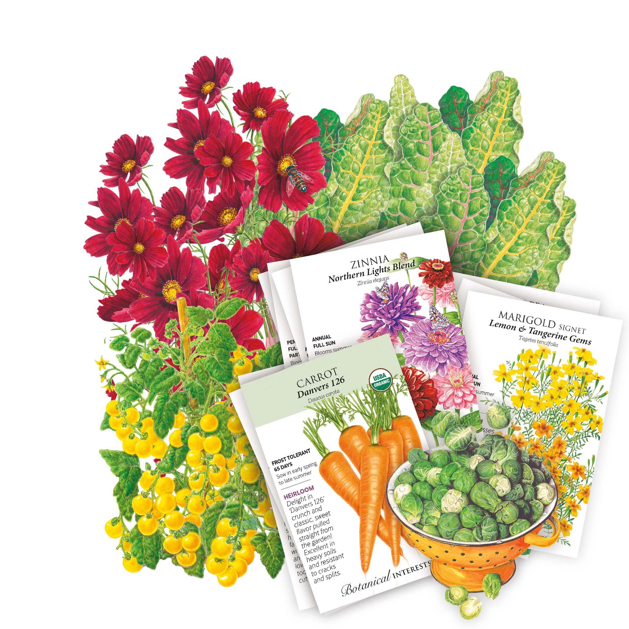 Northeast Seed Bundle – Epic Gardening