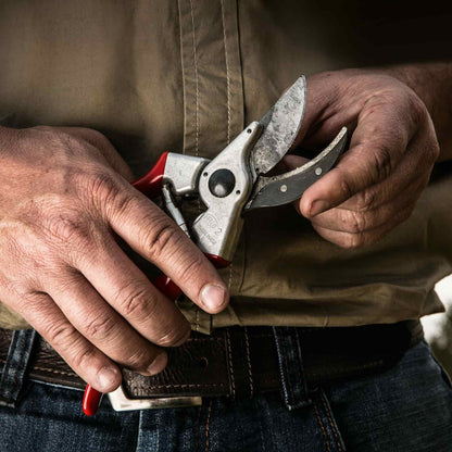 Felco 2 Classic Hand Pruner