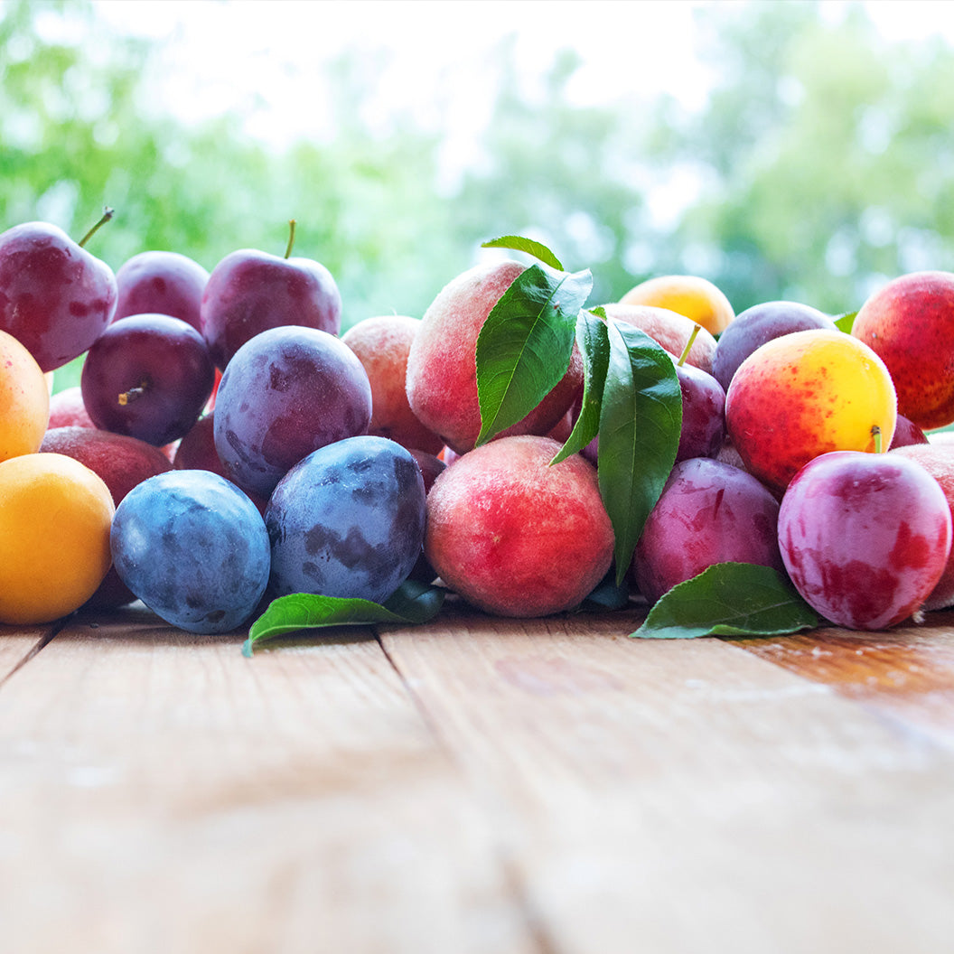 Dwarf Fruit Cocktail Trees 7 Best FRUIT SALAD TREE Ideas | Fruit
