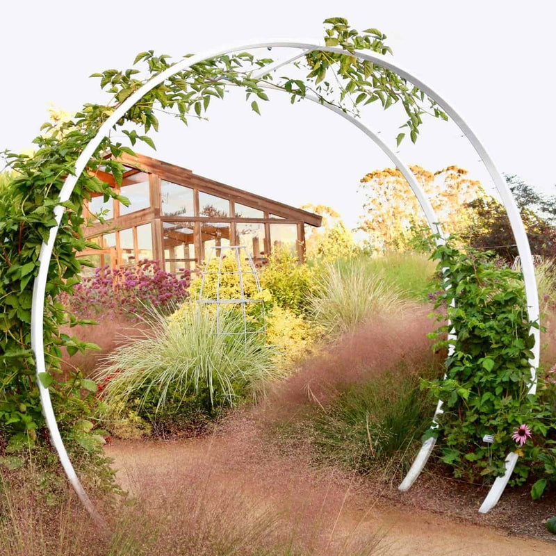 modern plant trellis Gracie Modern Arbor – Epic Gardening