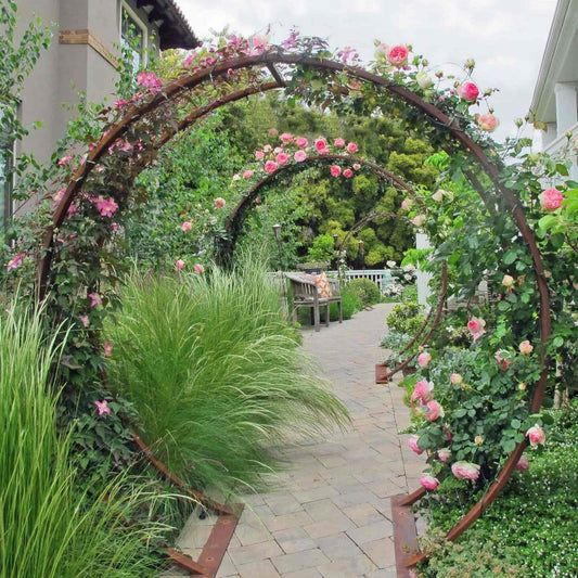 Gracie Modern Arbor