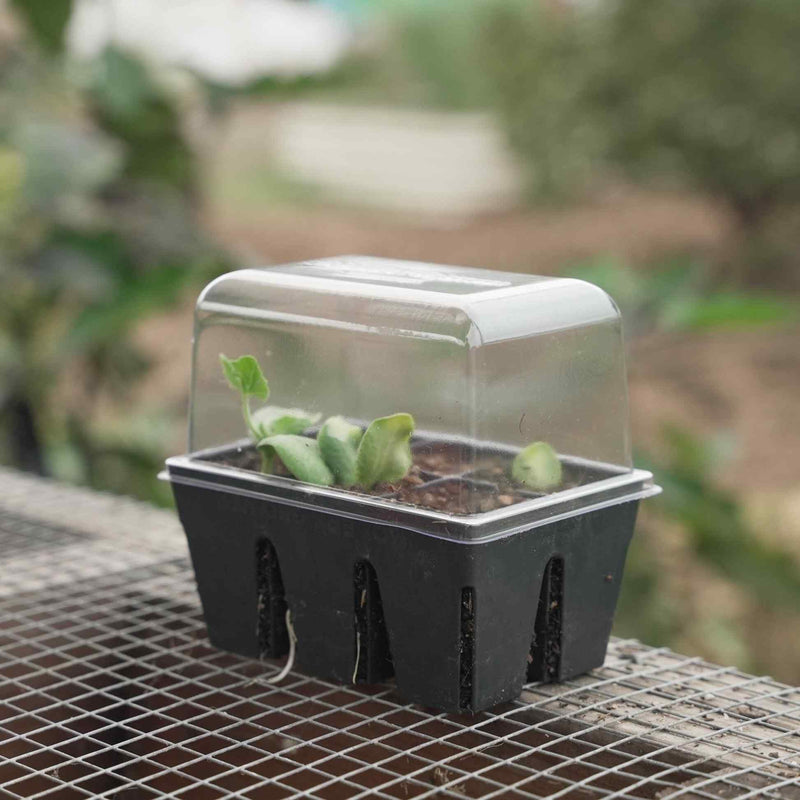 plastic dish for under plants Epic Humidity Domes & Bottom Trays (6-Cell) – Epic Gardening