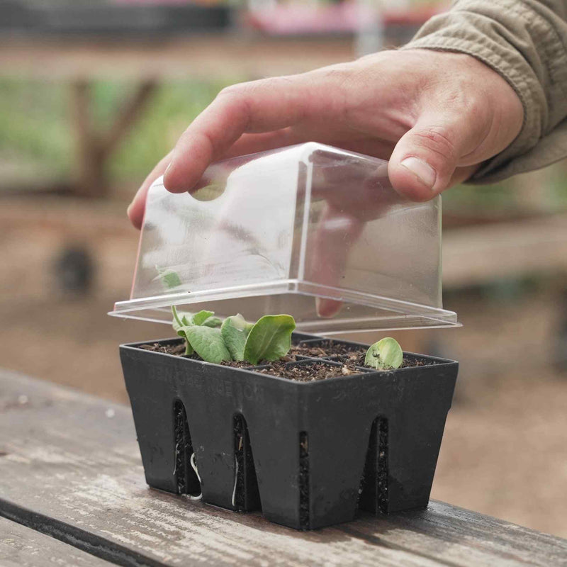 plant tray clear plastic humidity domes Epic Humidity Domes & Bottom Trays (6-Cell) – Epic Gardening