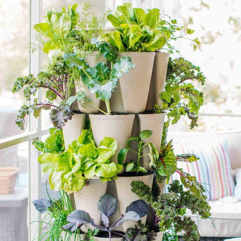 indoor vertical planter GreenStalk 5-Tier Vertical Planter
