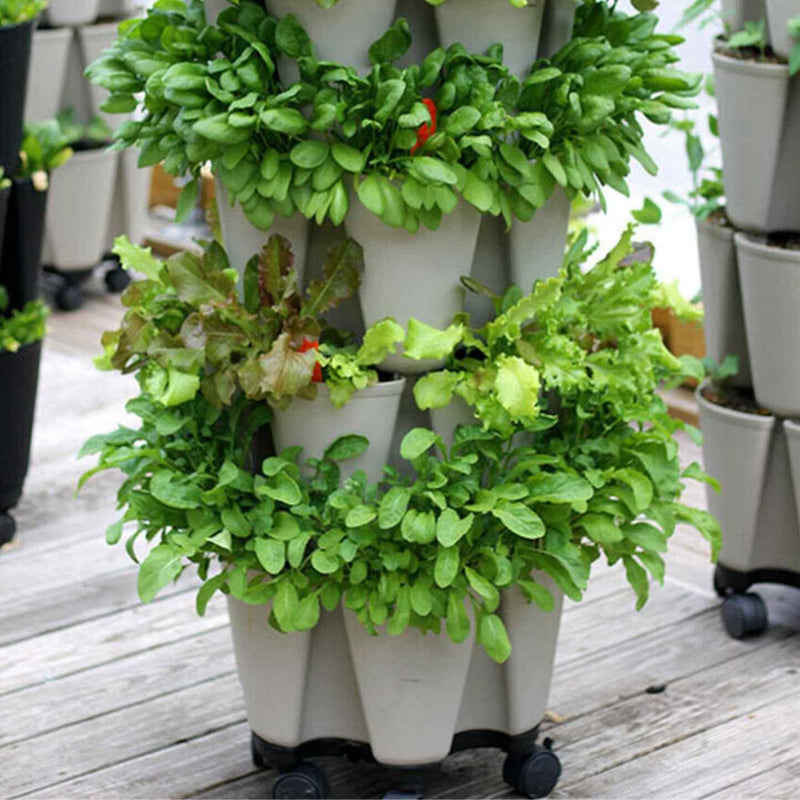 GreenStalk 5-Tier Vertical Planter Blueberry