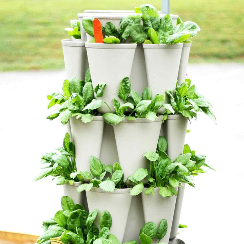 plastic vertical planter GreenStalk 5-Tier Vertical Planter