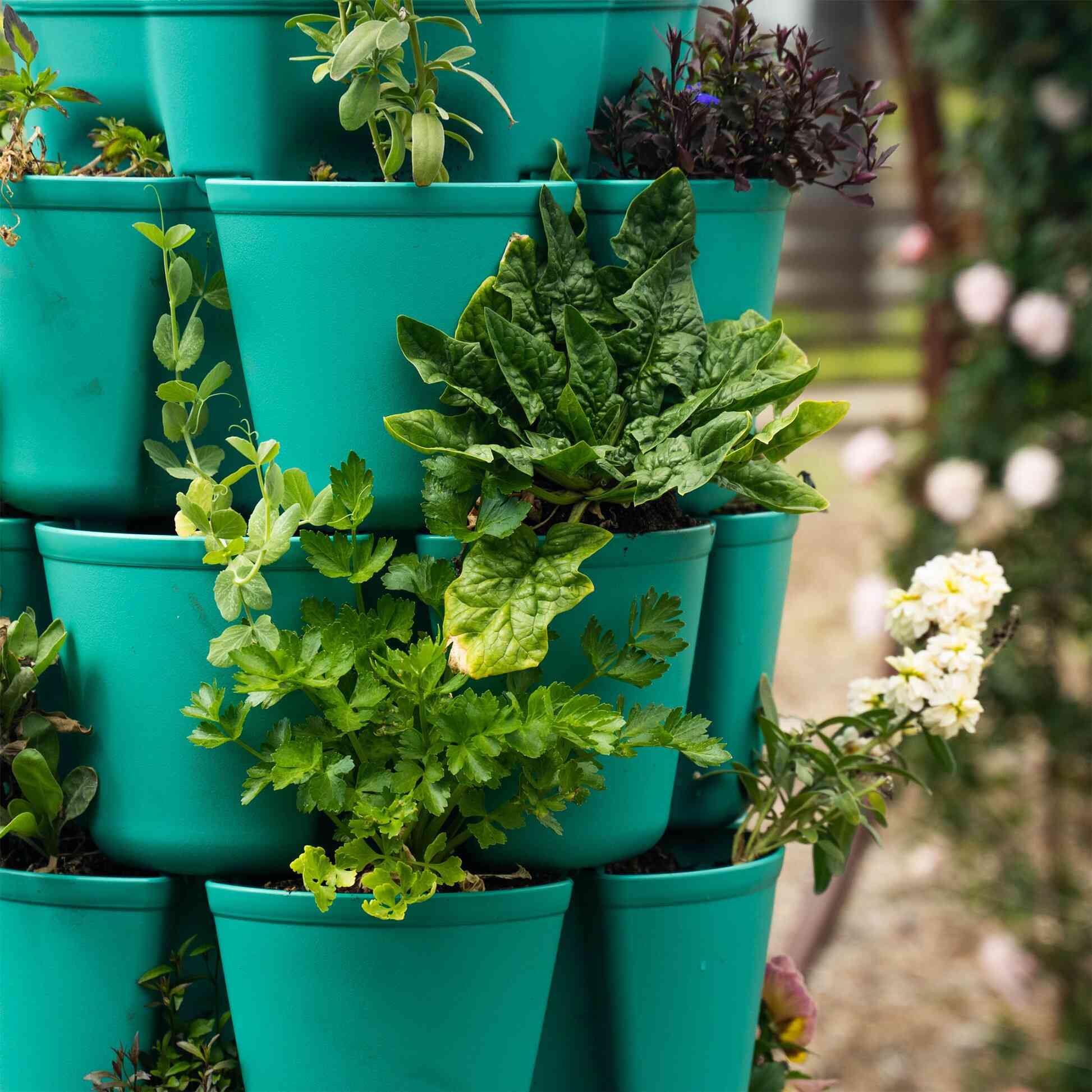 Vertical Planters – Epic Gardening