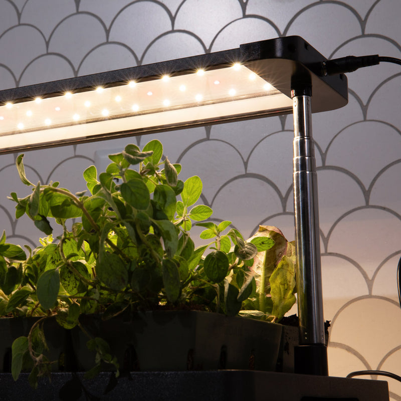 grow lights for indoor plants near me Epic Gardening Seed Starting Grow Light, Full-Spectrum LED with Adjustable Height & Integrated Tray for Indoor Seedlings, Light with Timer (Standard)