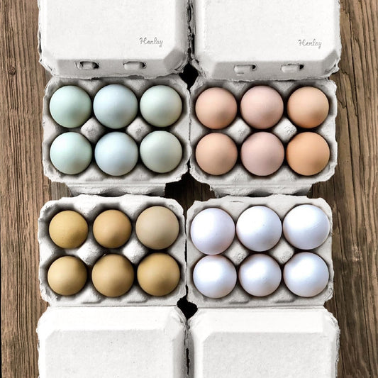 Half Dozen Egg Cartons - Henlay Blank Flat Top, Six Pack, 2 colors, 20 or 100