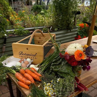 Harvest Basket