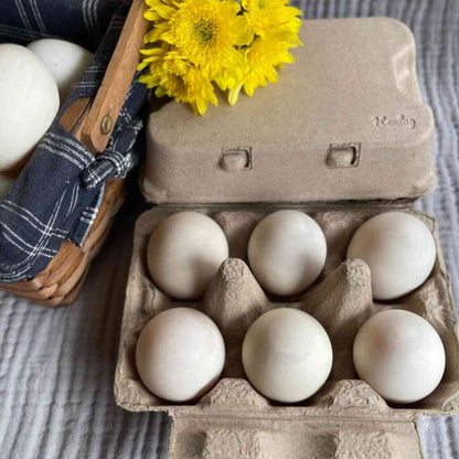 Henlay Duck Egg Cartons - Holds Half Dozen Jumbo Eggs- Blank Flat Top, 2 colors, 20 or 100